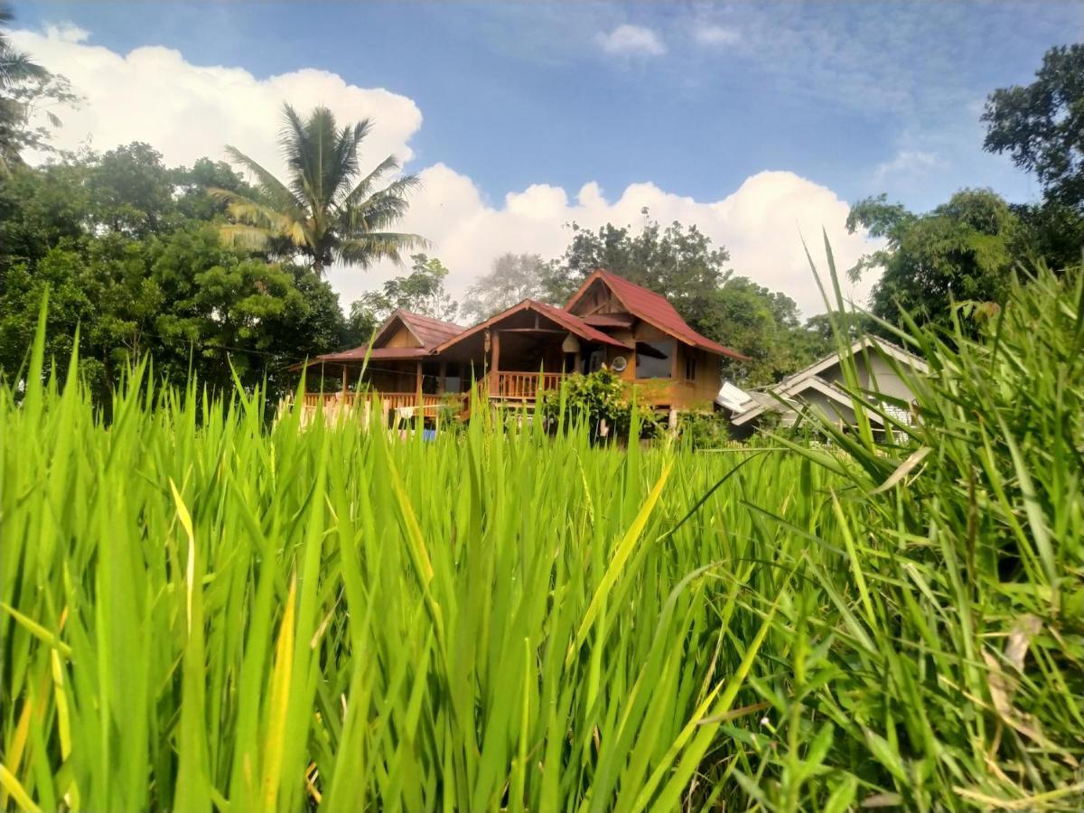Jonny's Places * Tetebatu
